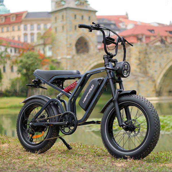 G60 PRO Electric Bike