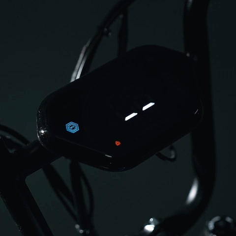 G60 PRO Electric Bike