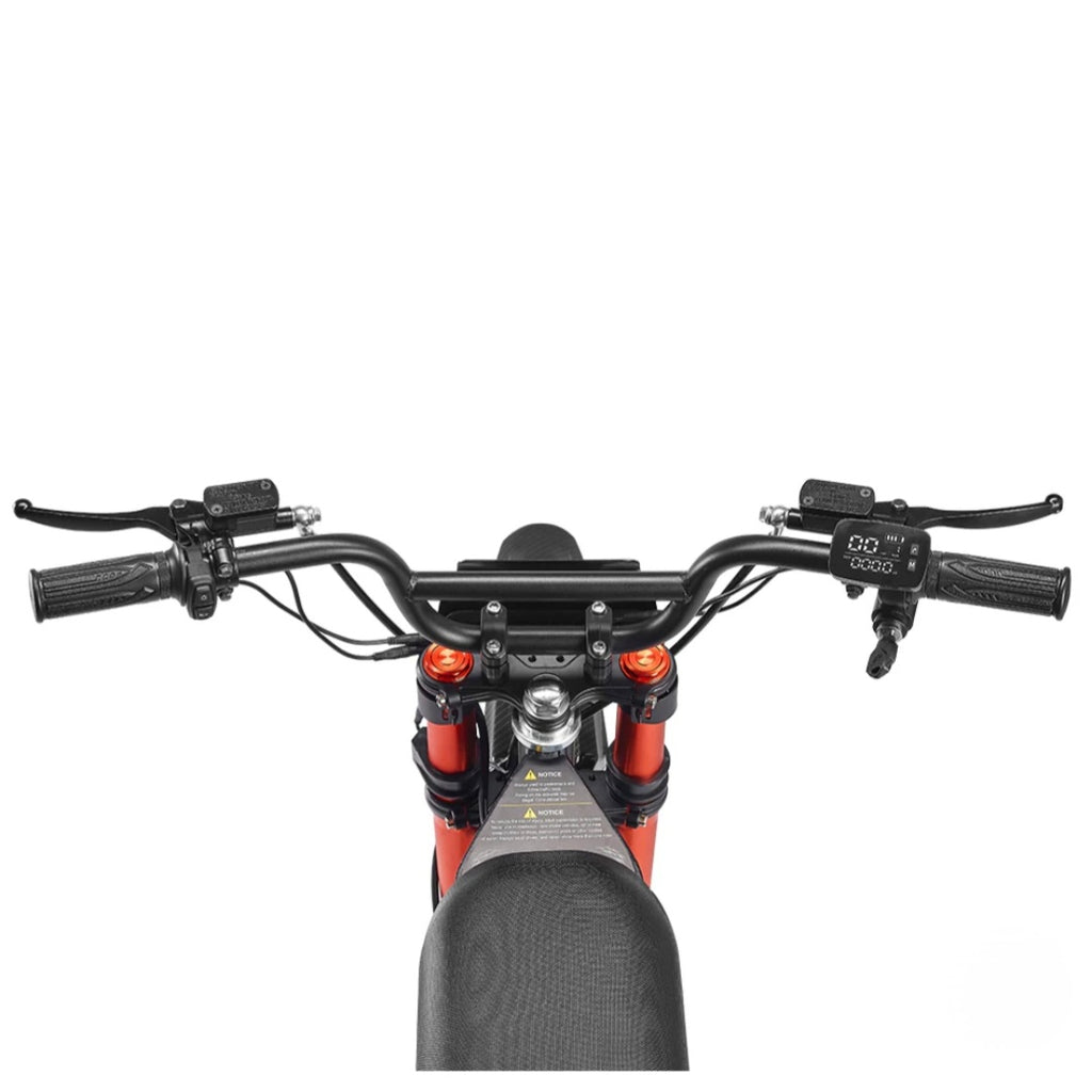 G300 SE ULTRA Electric Bike (60V)