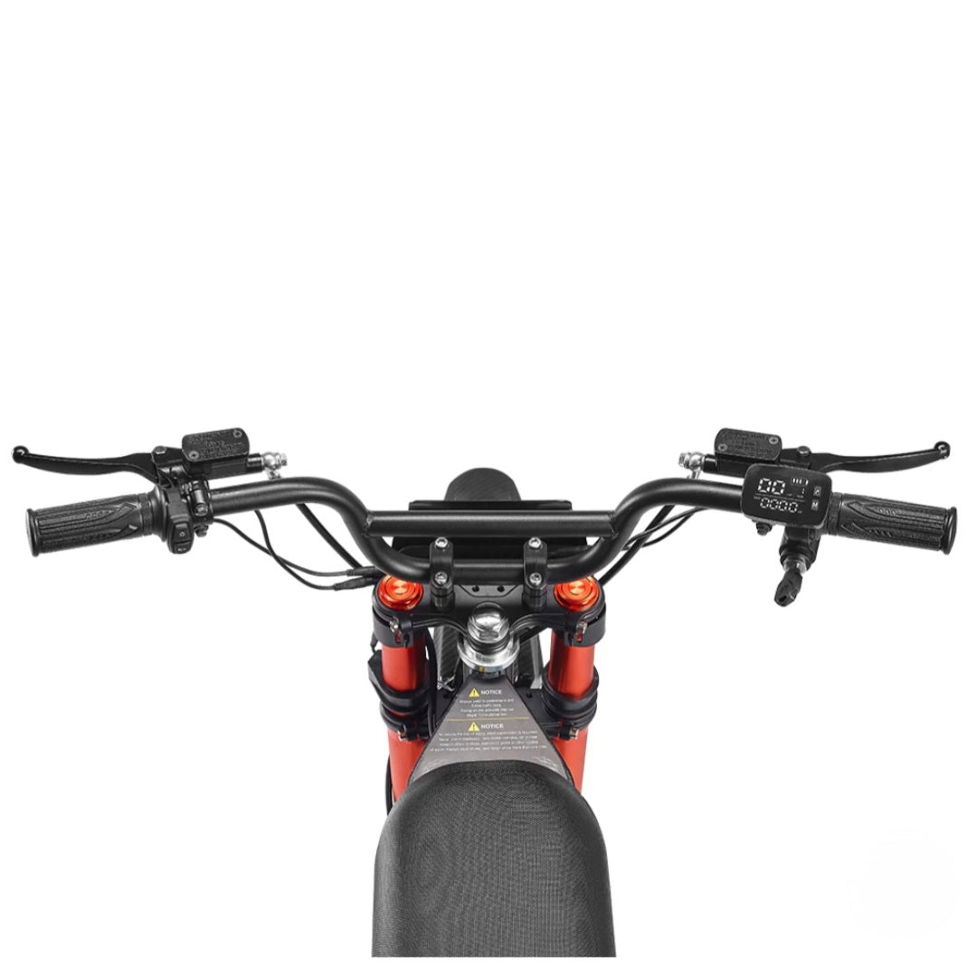 G300 SE ULTRA Electric Bike (60V)