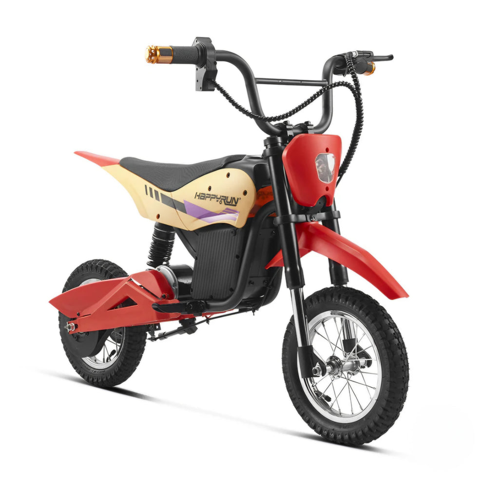 K20 Electric Bike (36V)